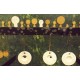 CHALK TARGETS CHALK TARGETS
